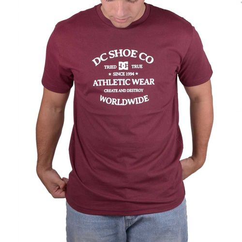 REMERA DC WORLD RENOWED HTR