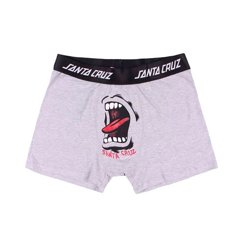 BOXER SANTA CRUZ UW CLASSIC PRINT