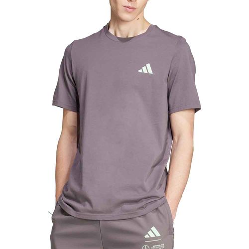 REMERA ADIDAS MERCEDES AMG PETRONAS FORMULA ONE