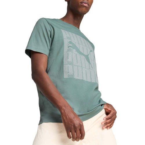 REMERA PUMA GRAPHICS WORDING TEE ADP